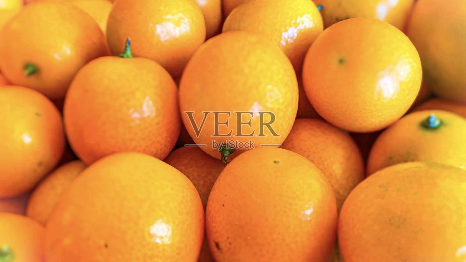 KIMQUAT橙子照片摄影图片