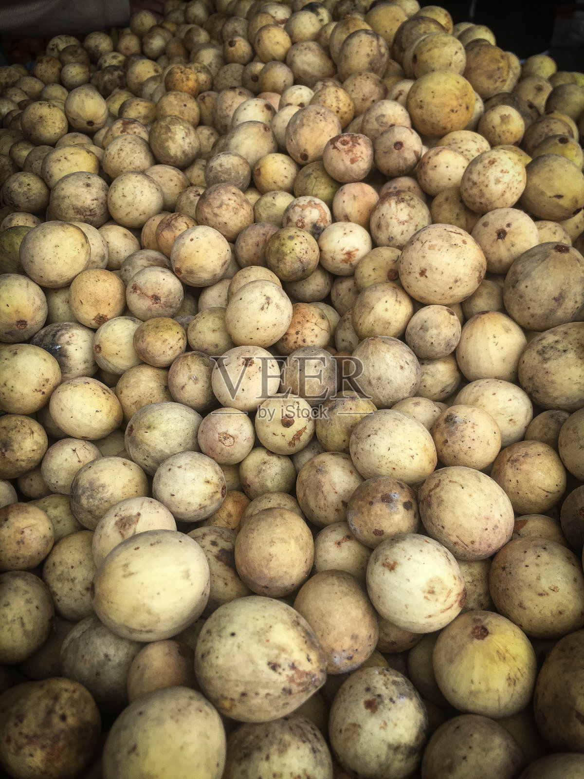 来自印度尼西亚的杜酷水果，一种典型的印尼水果照片摄影图片