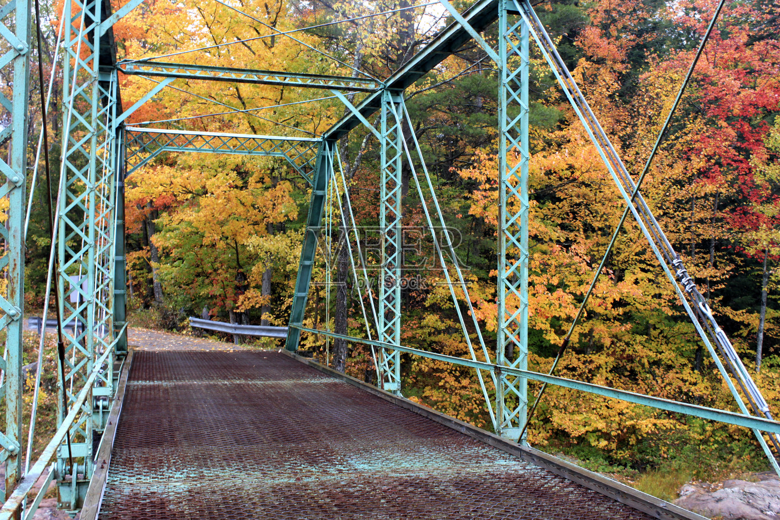 秋天的桥照片摄影图片