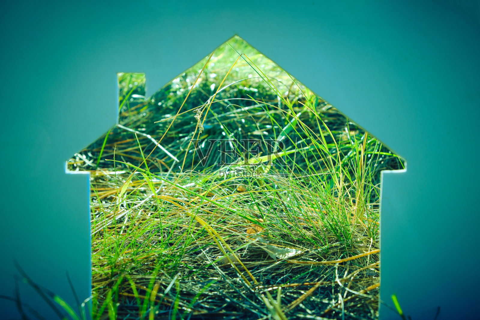 绿草背景上的一座房子的剪影。照片摄影图片