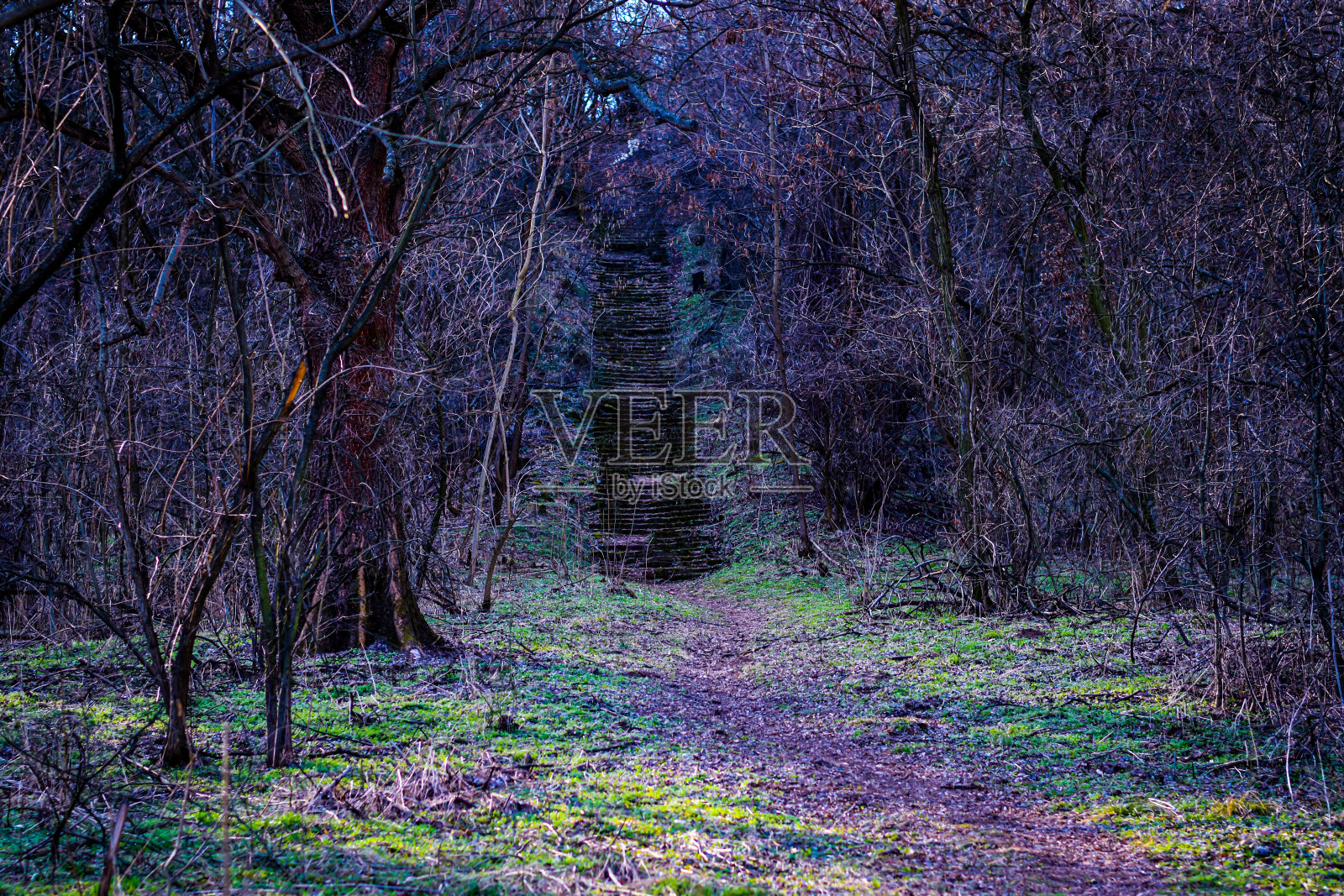 废墟和周围的自然照片摄影图片