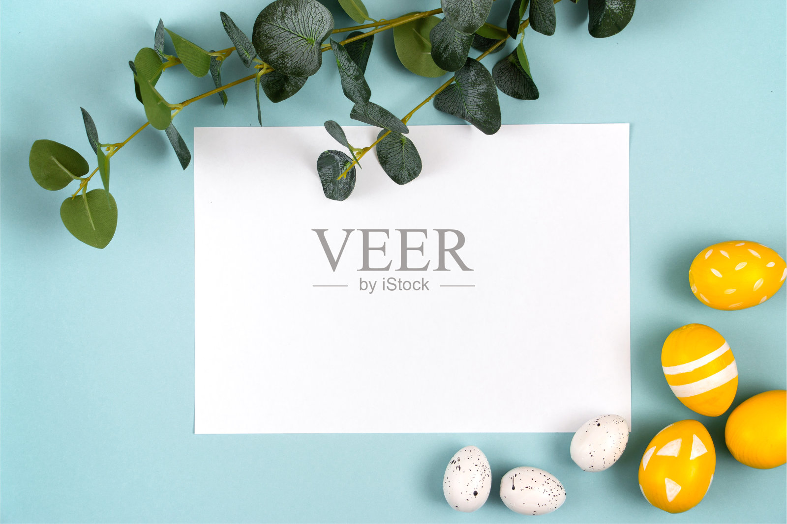 复活节彩蛋在黄色和白色的颜色，空白的白纸为文字，桉树枝在一个柔和的蓝色背景。平躺，俯视图。照片摄影图片