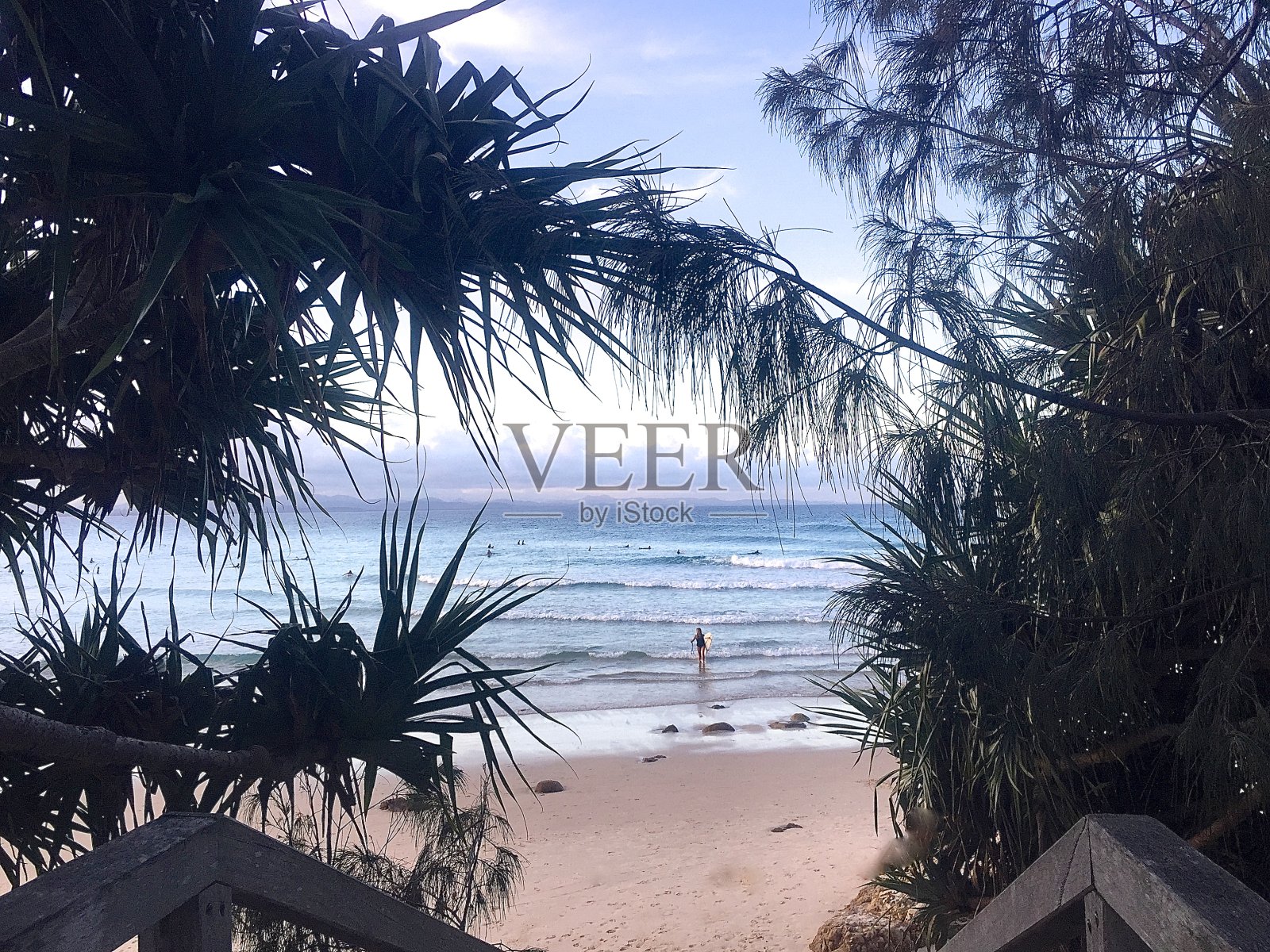 在澳大利亚拜伦湾冲浪和游泳的热带海滩天堂照片摄影图片