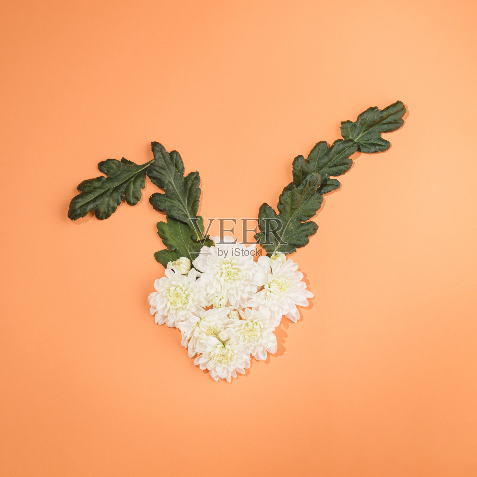 白色的花和绿色的叶子来自一只红鼻子的复活节兔子。照片摄影图片