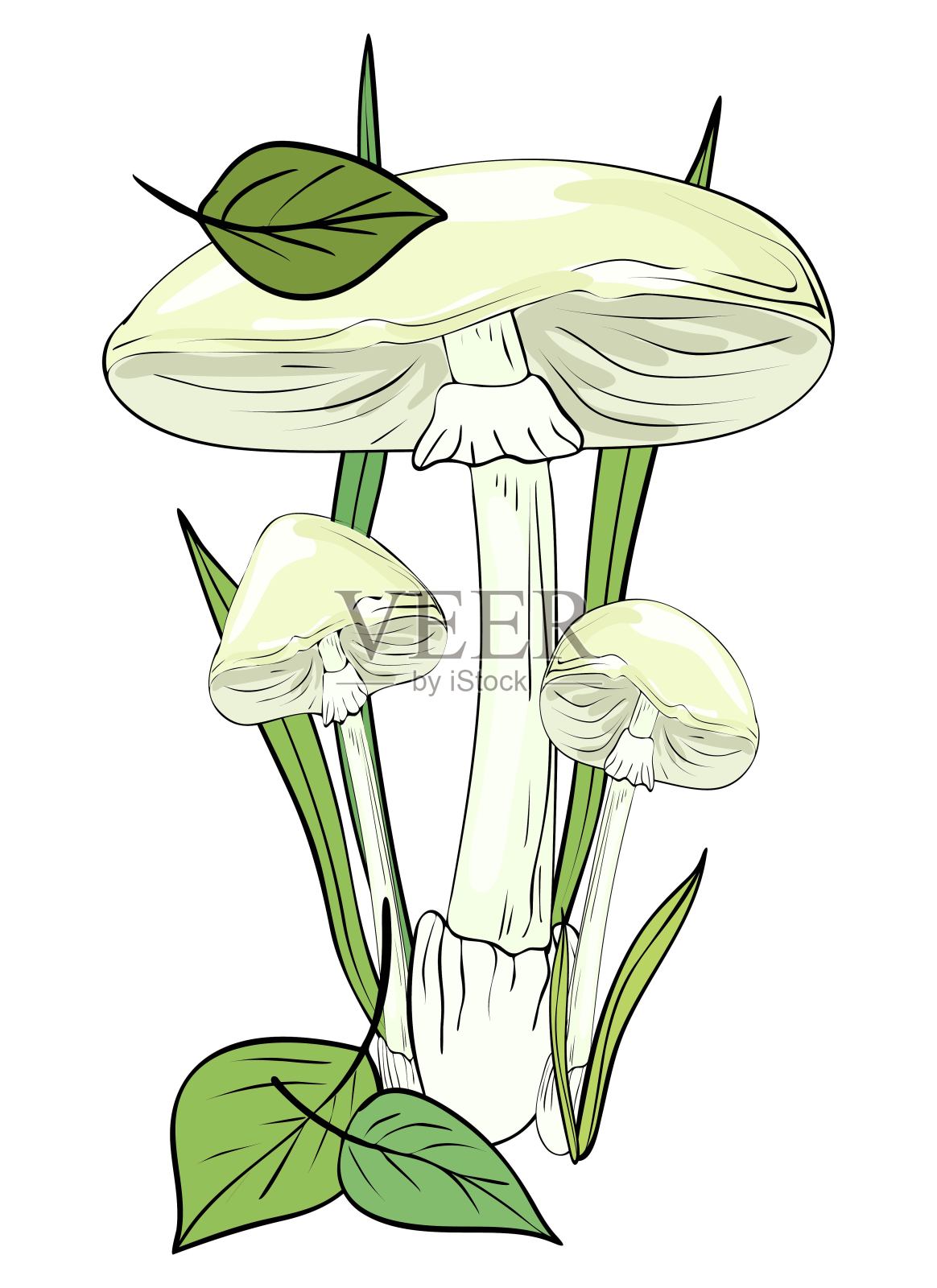 蘑菇。彩色，剪辑艺术，线条艺术。矢量插图。插画图片素材