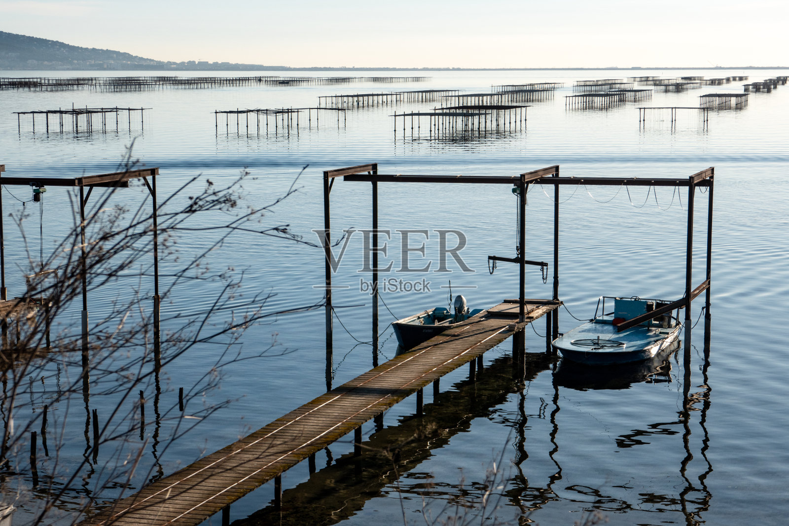牡蛎和贻贝养殖照片摄影图片