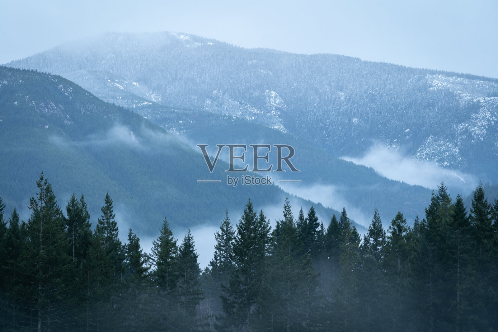 雾气弥漫的森林和山脉照片摄影图片