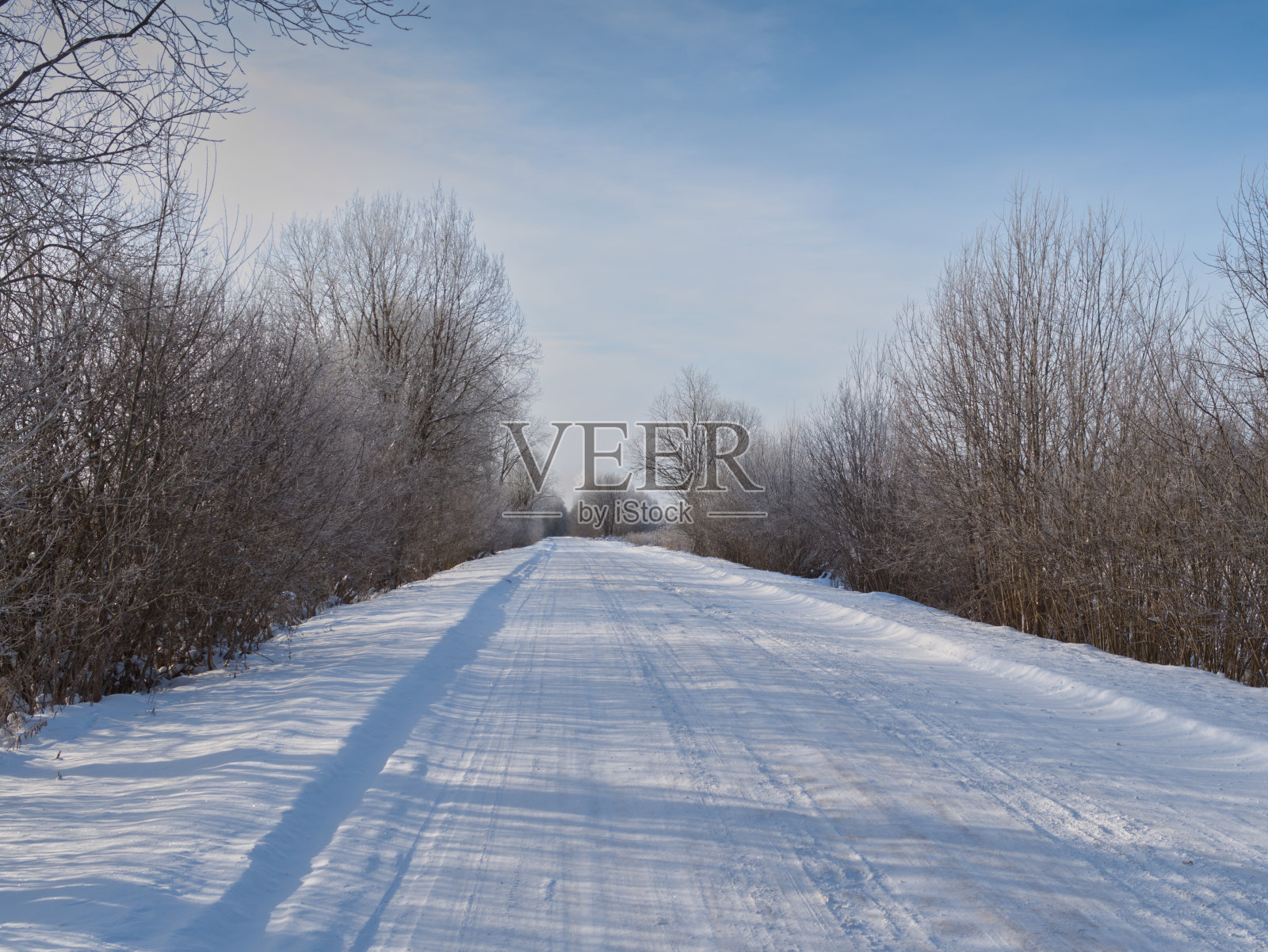 冬天的路在树林里照片摄影图片