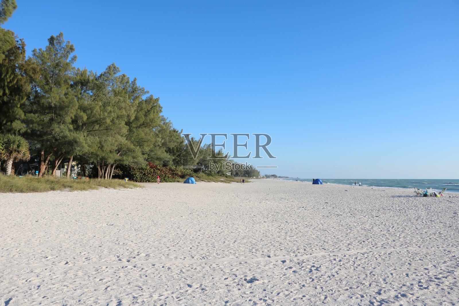 在美国佛罗里达州安娜玛丽亚岛海牛公共海滩度假照片摄影图片