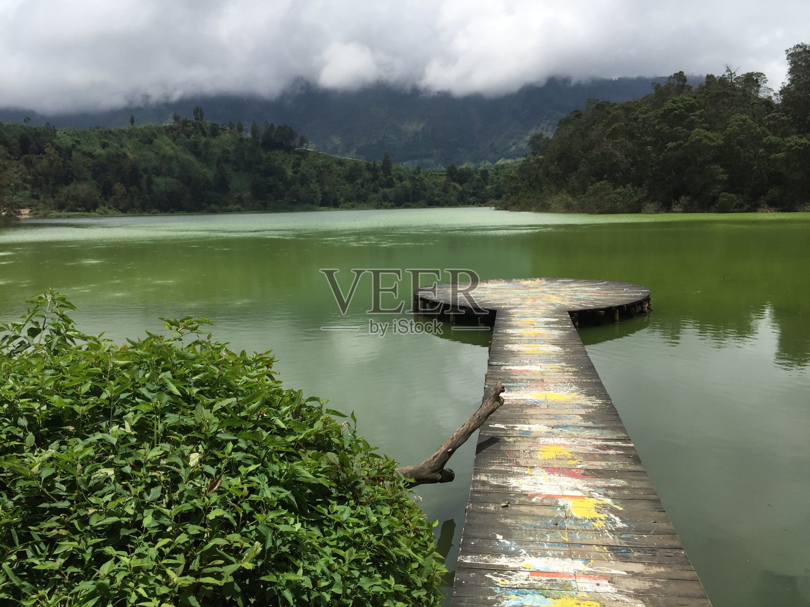 雨林风景照片摄影图片
