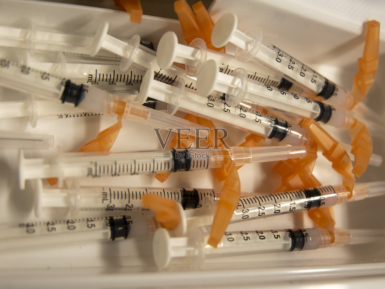 19头牛照片摄影图片