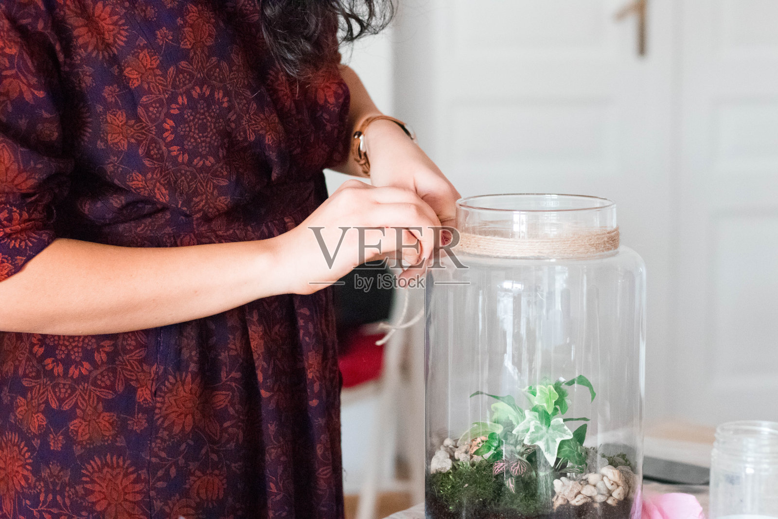 一个女孩在装饰一个透明的花盆在一个玻璃罐子，瓶子花园的terrarium照片摄影图片
