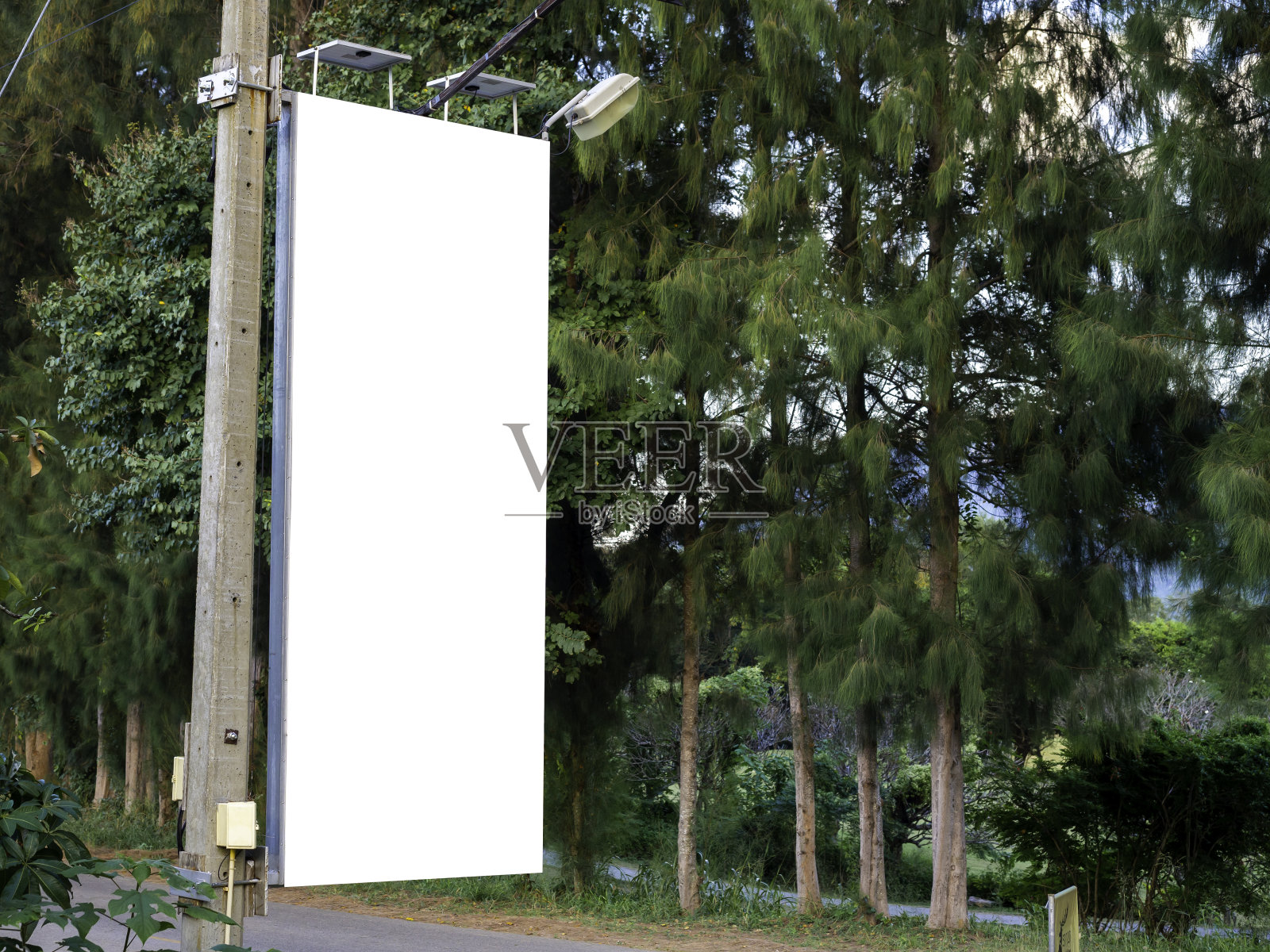 空白色空白横幅上的电线杆广告。照片摄影图片