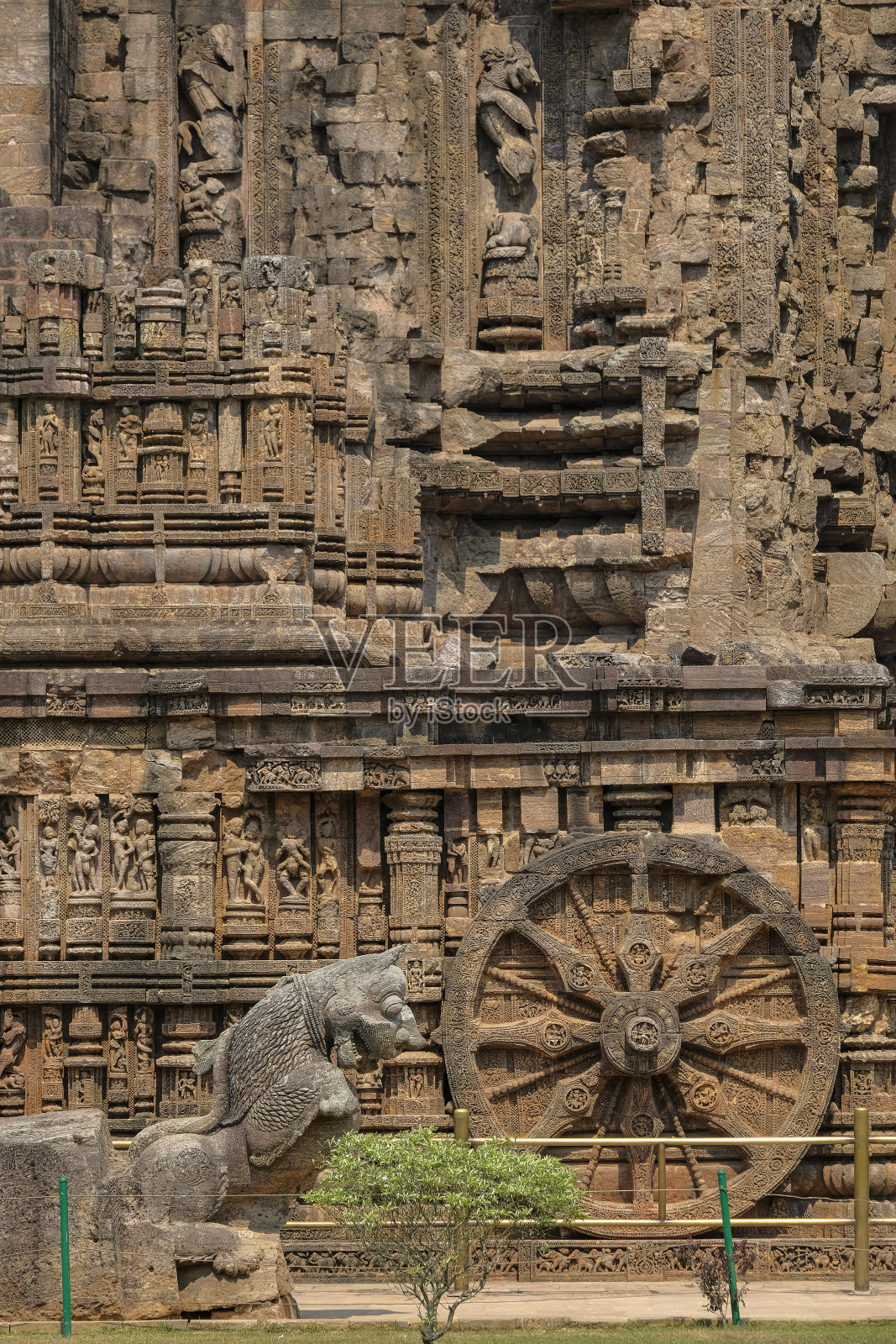印度奥里萨邦的刚果。照片摄影图片