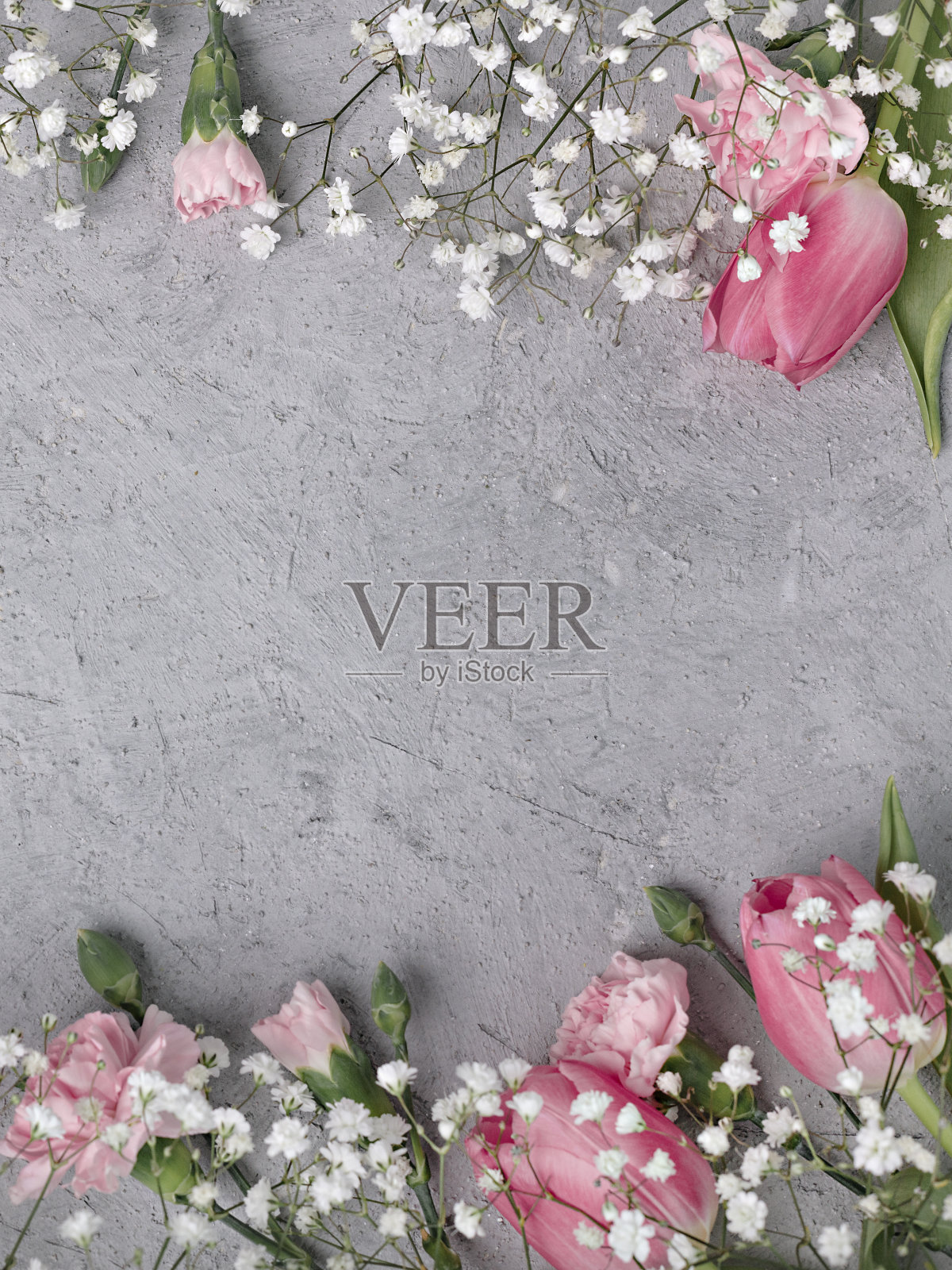 在灰色的混凝土背景上，点缀着粉红色的郁金香和康乃馨。有选择性的重点。照片摄影图片
