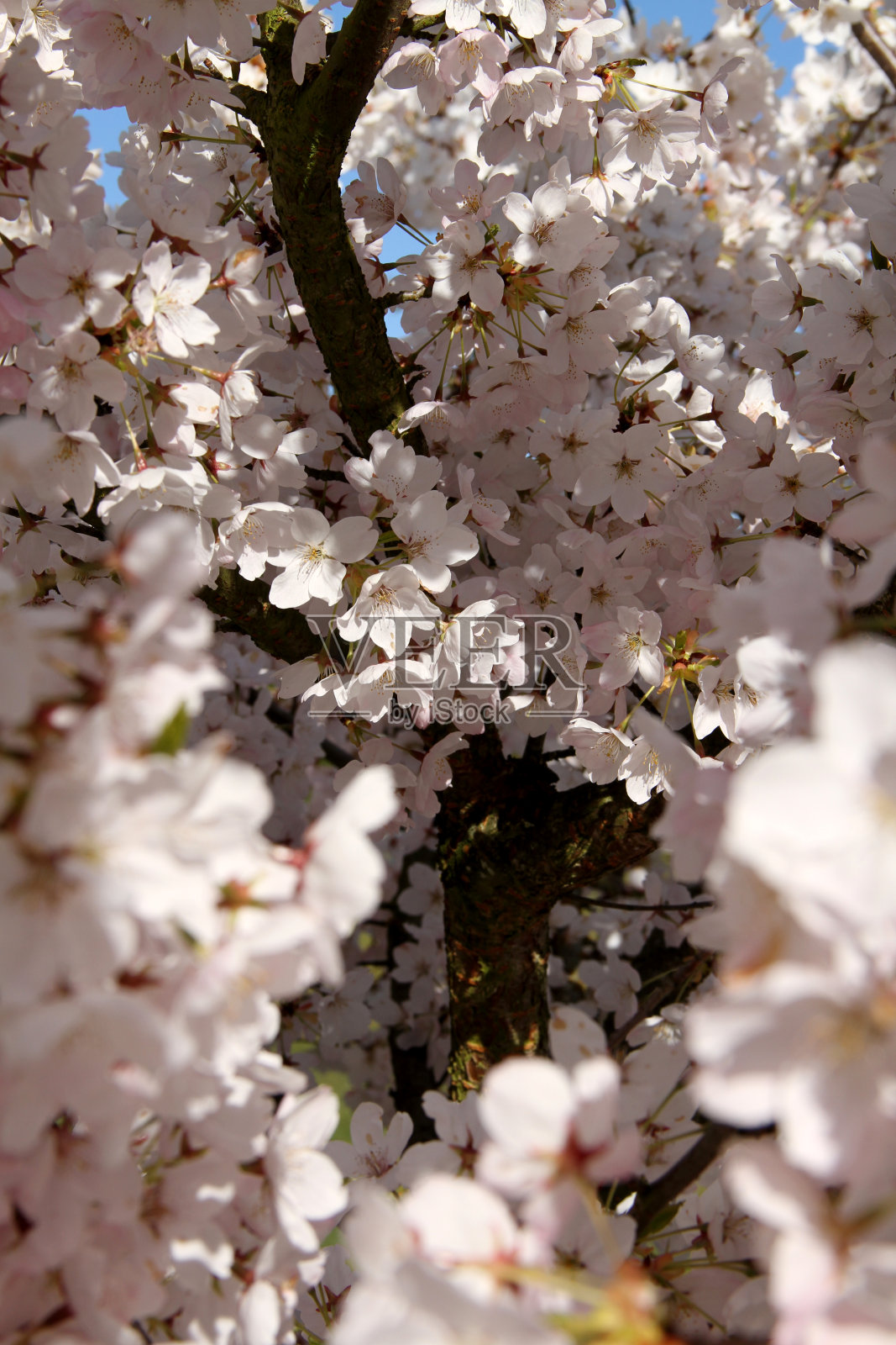 隧道的白色照片摄影图片