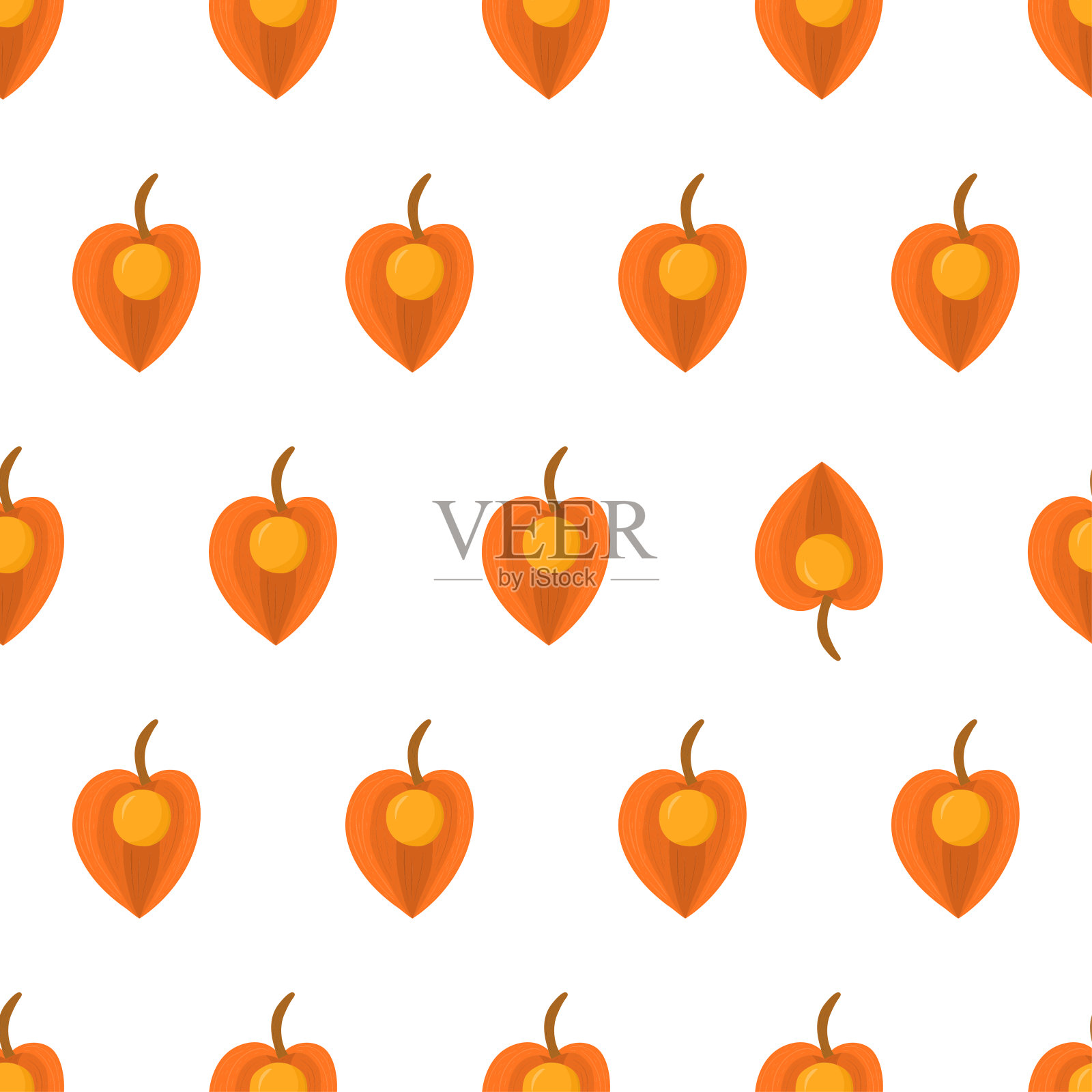 无缝模式与酸浆，引人注目的元素。橙果，印加浆果。有机纺织品。矢量自然图形背景。插画图片素材