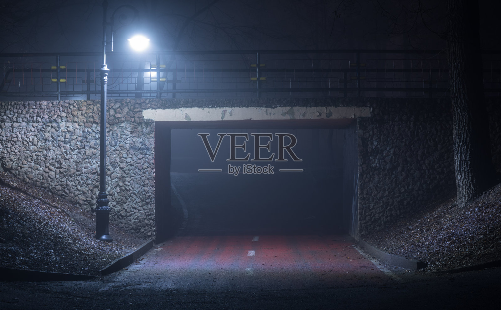 路灯在森林里的道路上有雾照片摄影图片