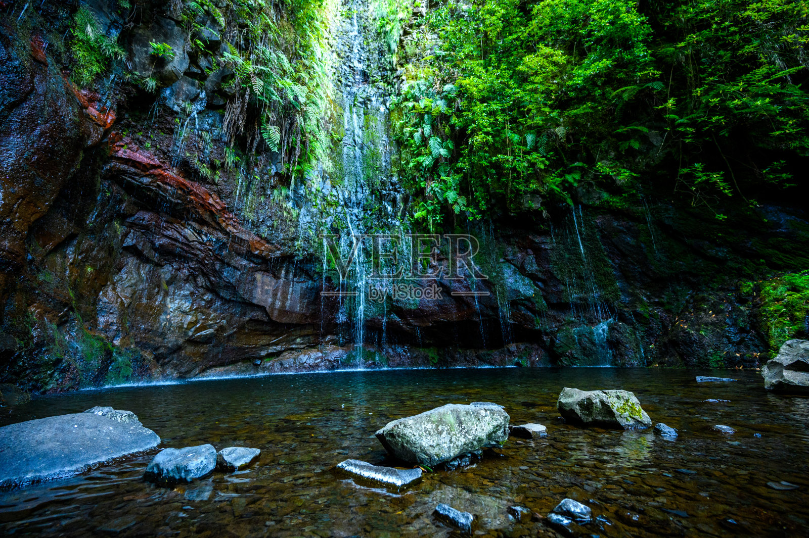25 Fontes瀑布-勒瓦达步道在月老森林在拉巴克-小路著名的25喷泉在美丽的风景风景-马德拉岛，葡萄牙照片摄影图片