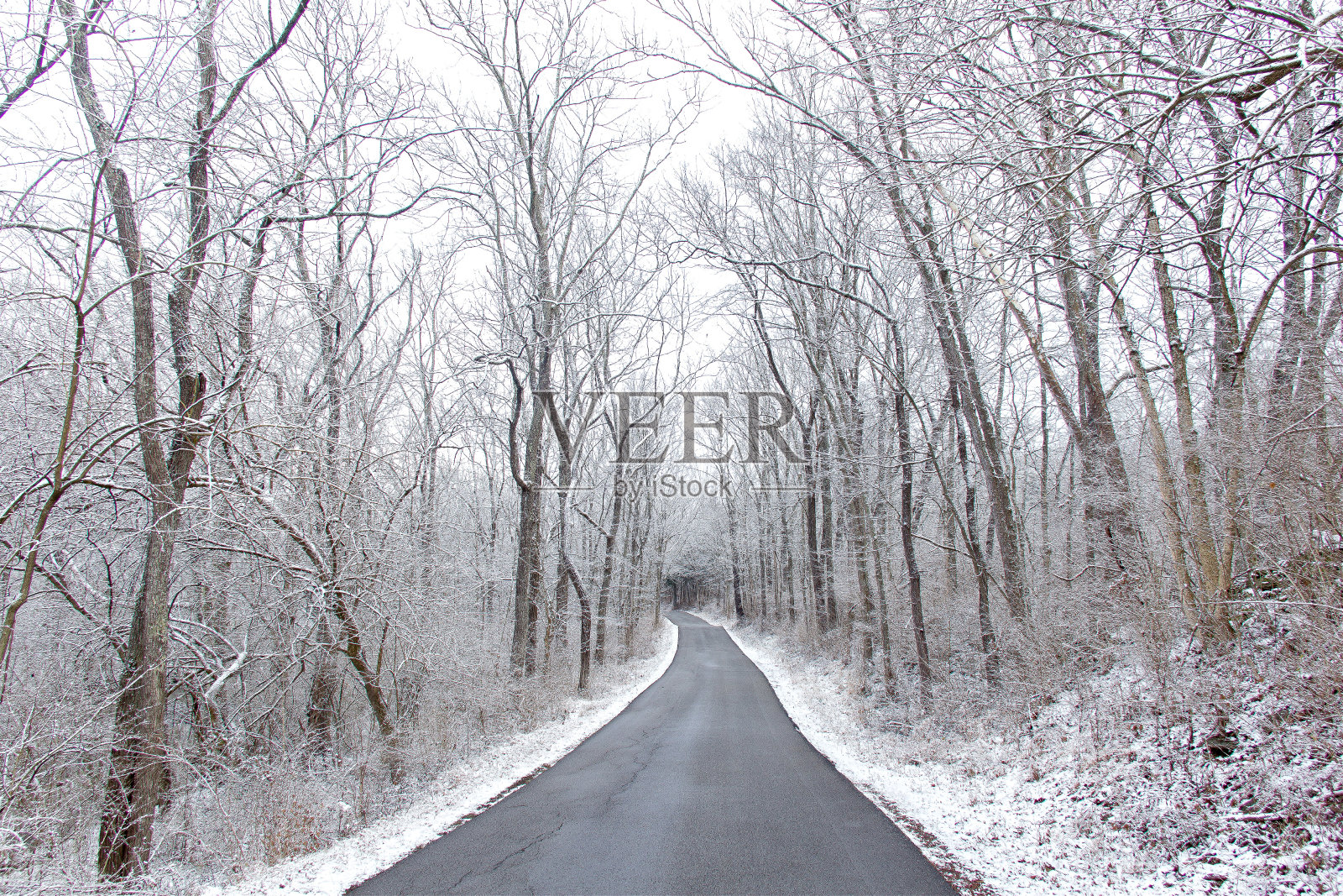 在冬天的小路上开车照片摄影图片