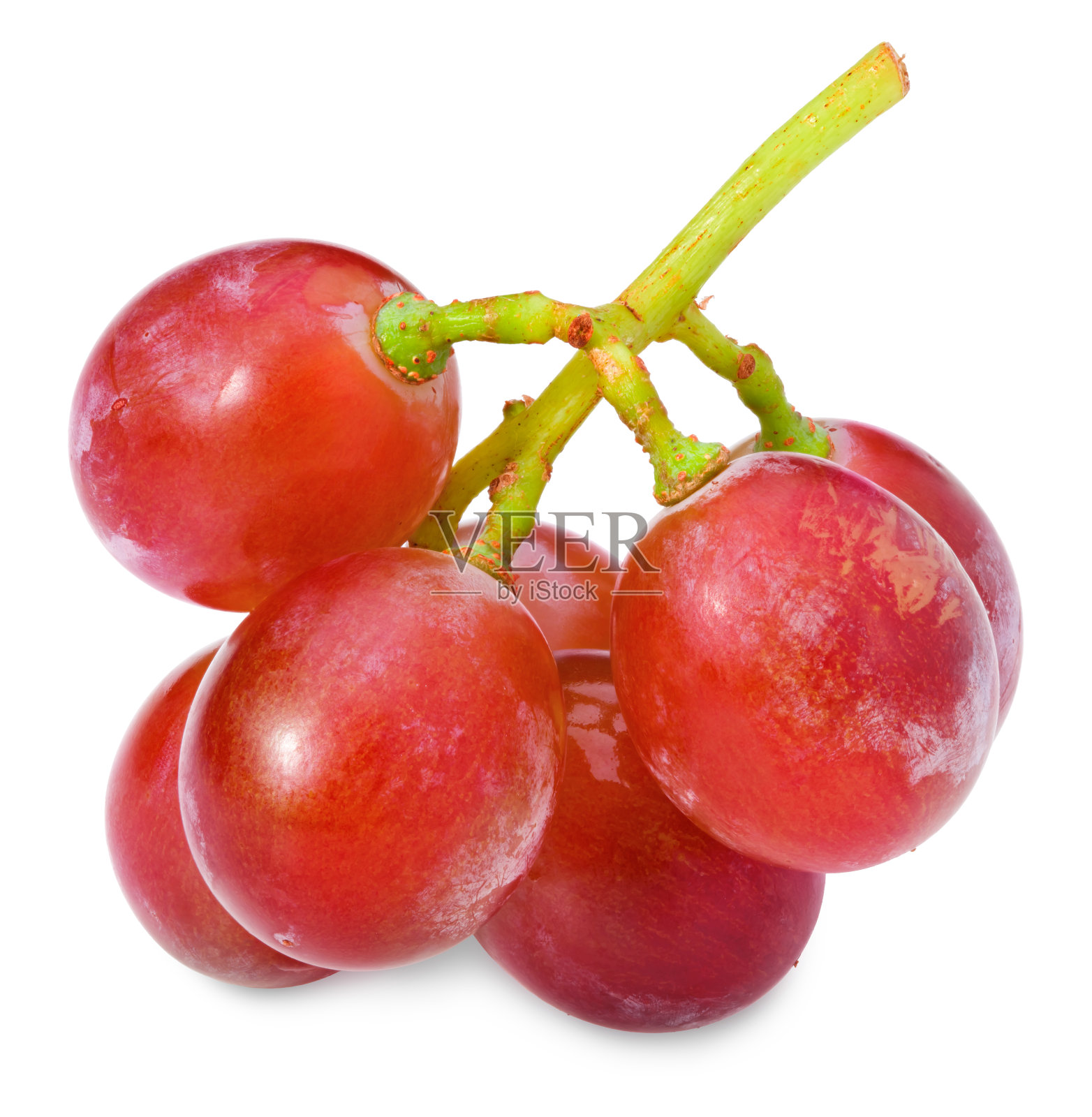 红色的葡萄浆果孤立在白色的背景。宏。剪切路径。全景深。照片摄影图片