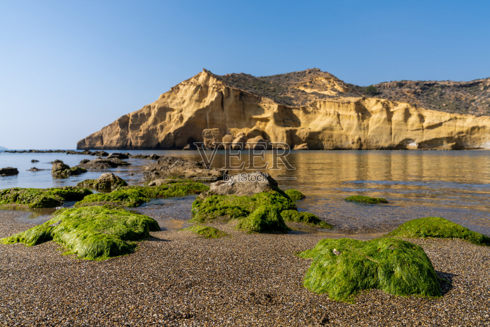 恬静的地中海海洋小湾，后面是黄色的砂岩悬崖，沙滩上的岩石被绿藻覆盖照片摄影图片