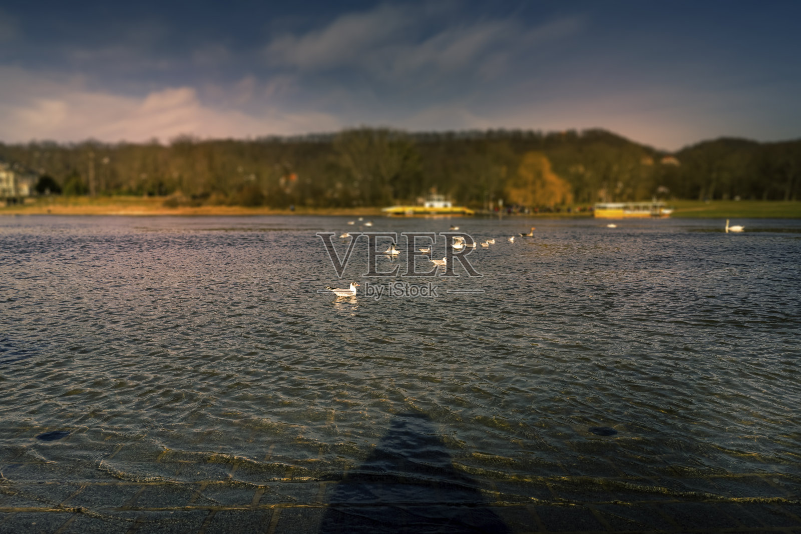 河边。照片摄影图片