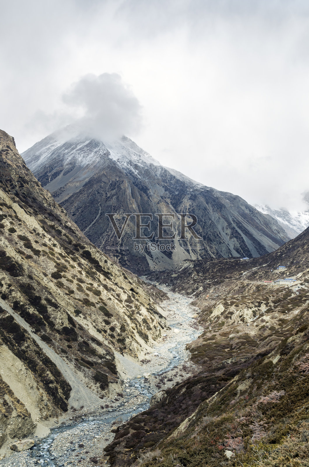 喀尔卡牦牛及周边山脉，安纳普尔纳环岛照片摄影图片