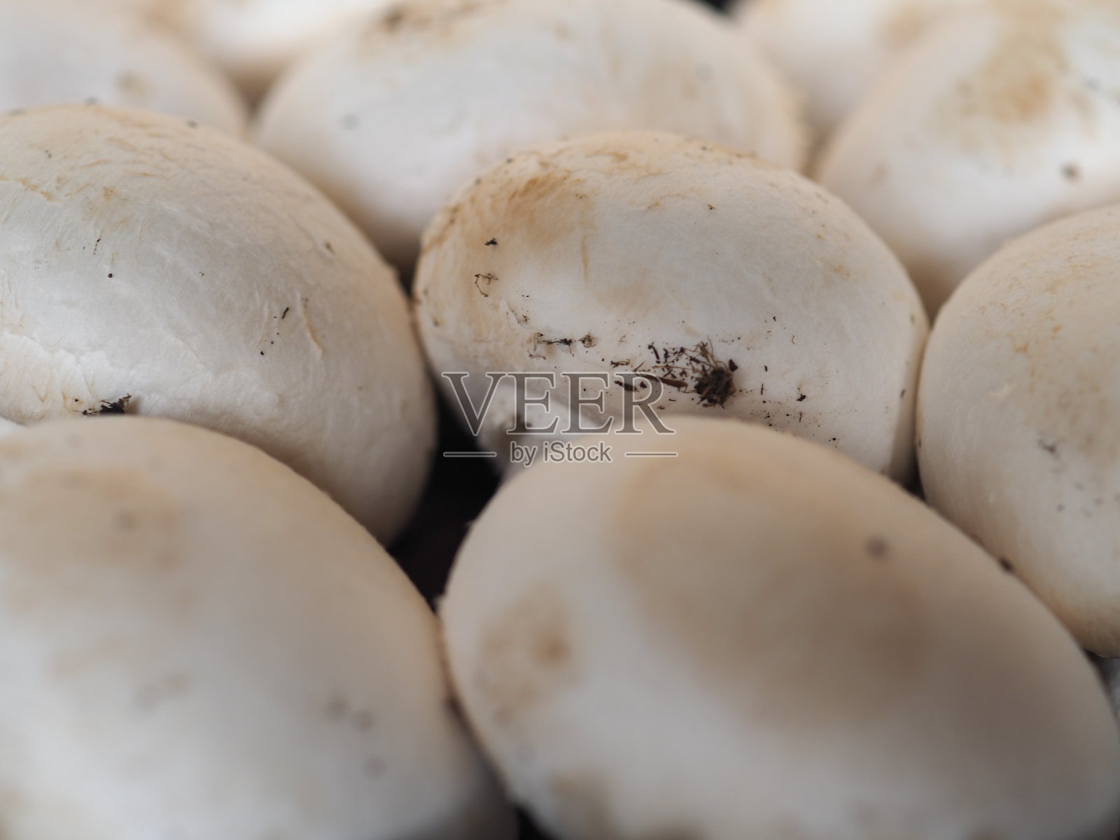 香菇素食|(香菇)照片摄影图片