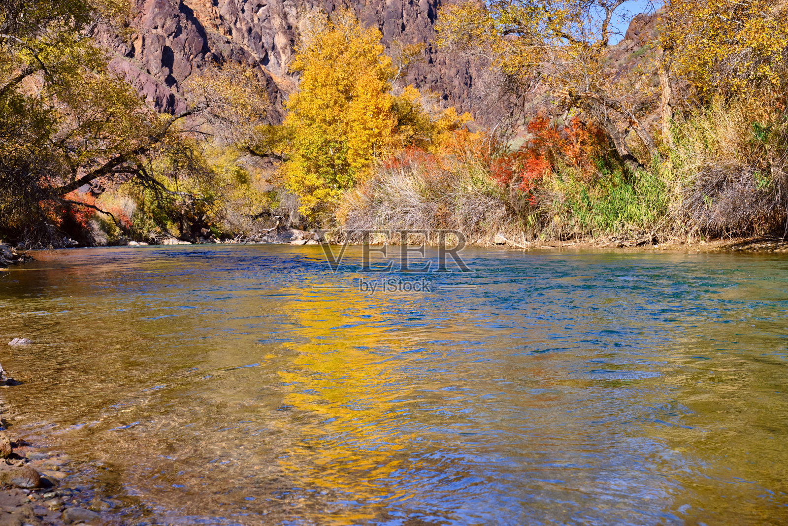 金秋河倒影查林河照片摄影图片