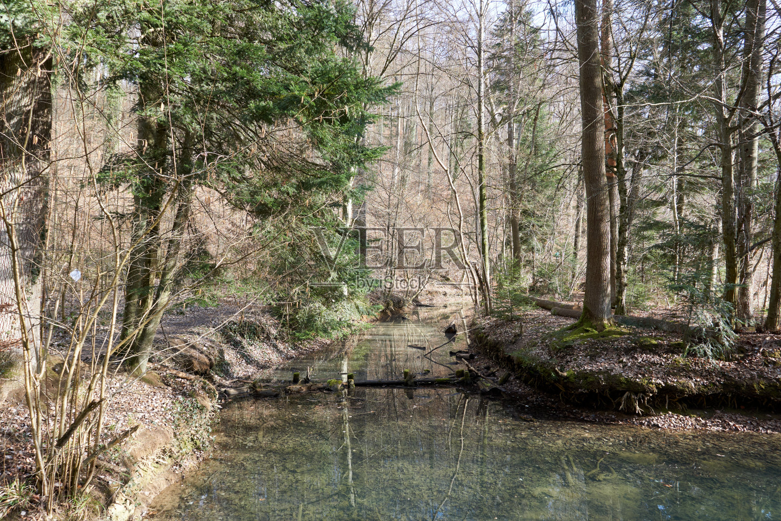 绿水湖，湖面结冰，周围是树林照片摄影图片