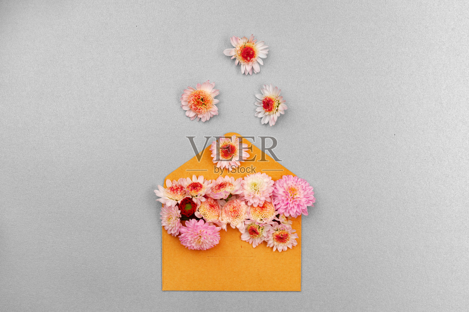 空白纸与复制空间和花蕾照片摄影图片