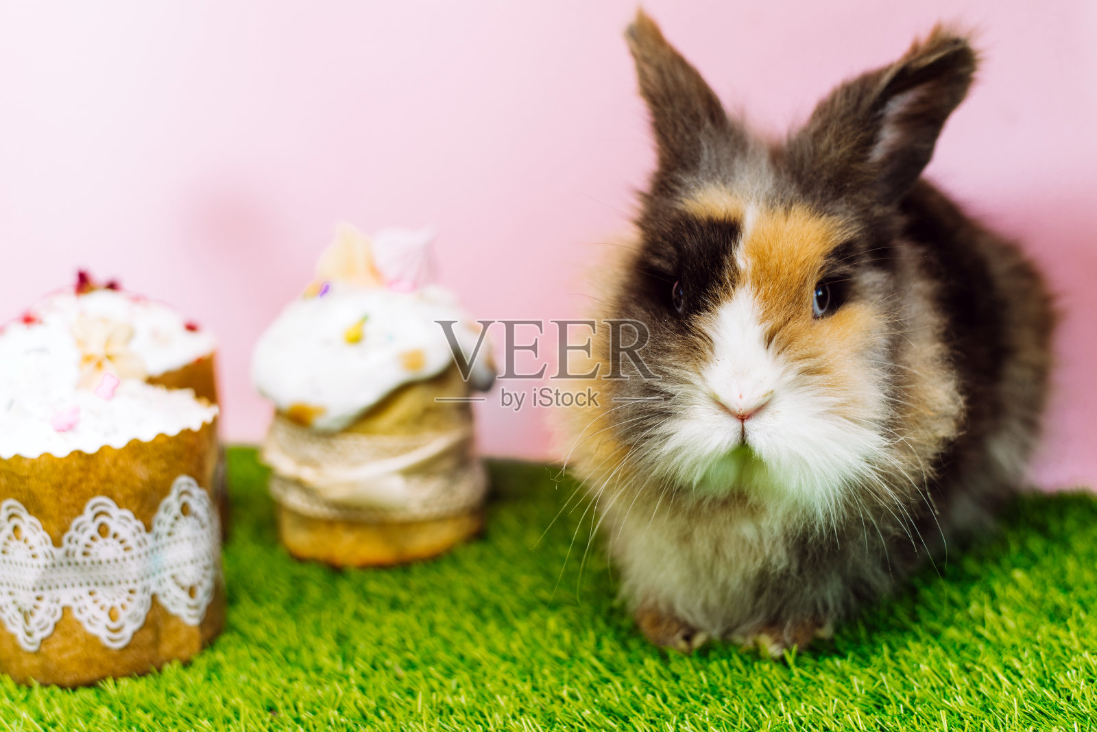 复活节兔子坐在复活节旁边，旁边是光滑的复活节蛋糕。复活节快乐的概念。为你的文本复制空间照片摄影图片