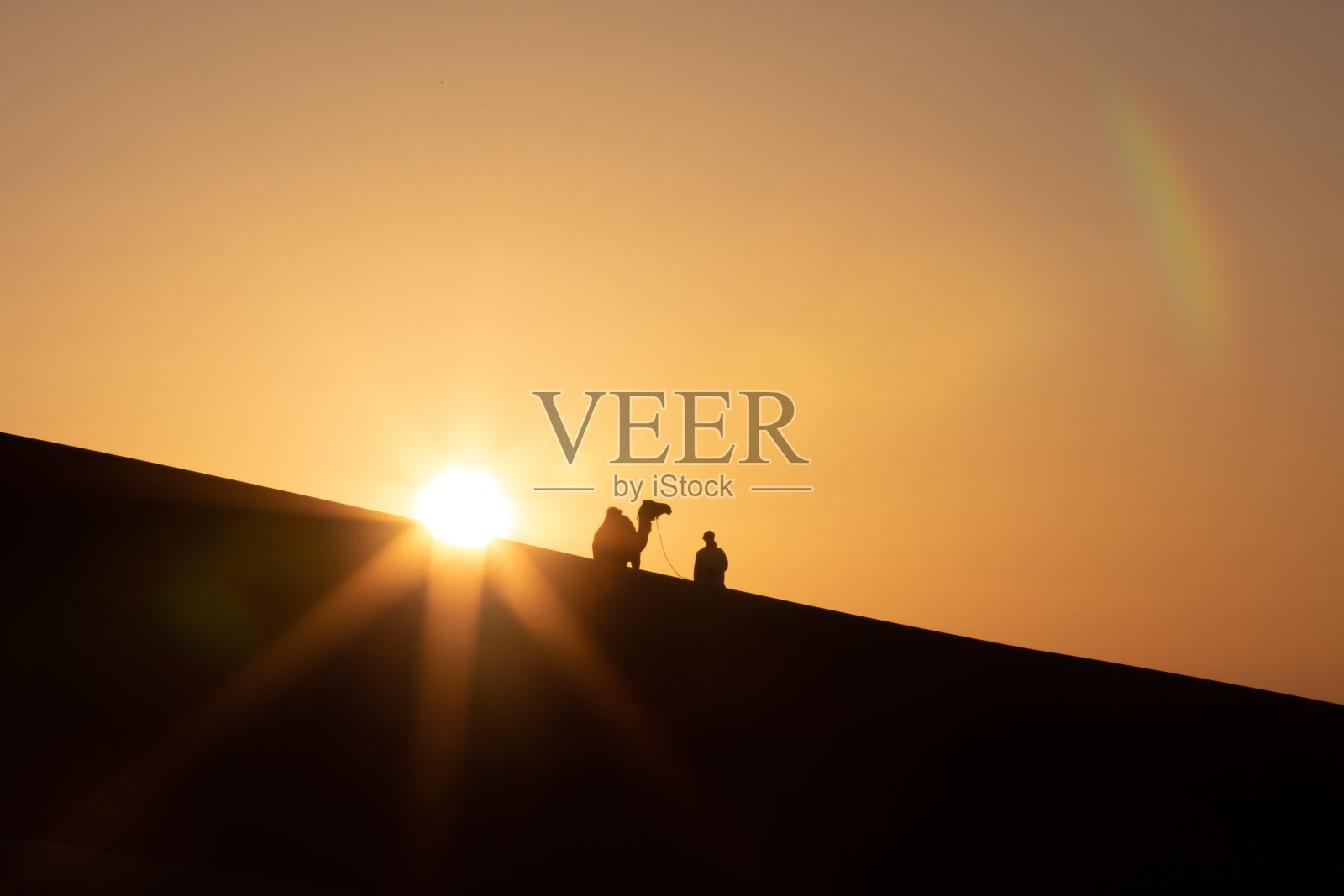 日落时一个男人牵着骆驼的剪影。照片摄影图片