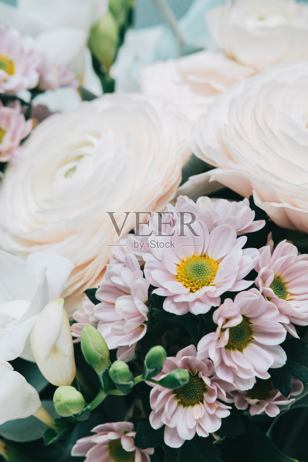 美丽的花包装:白色的大玫瑰和野花。春天的背景。照片摄影图片