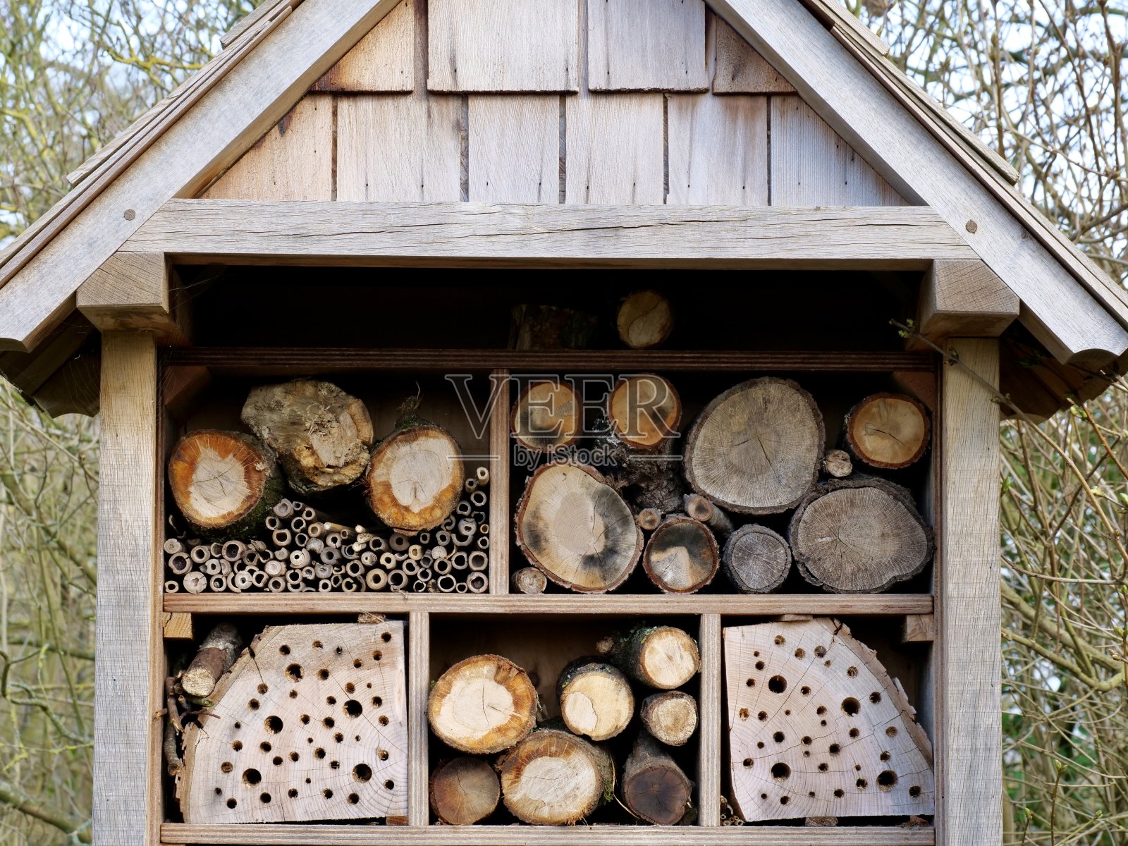 木虫酒店照片摄影图片