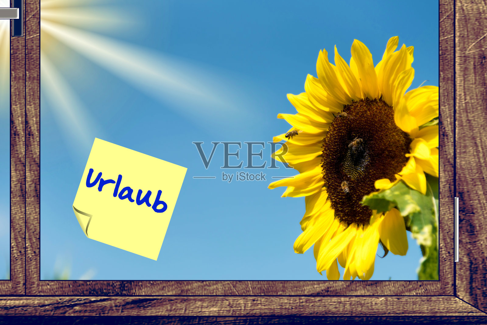 向日葵和一张字条的节日照片摄影图片