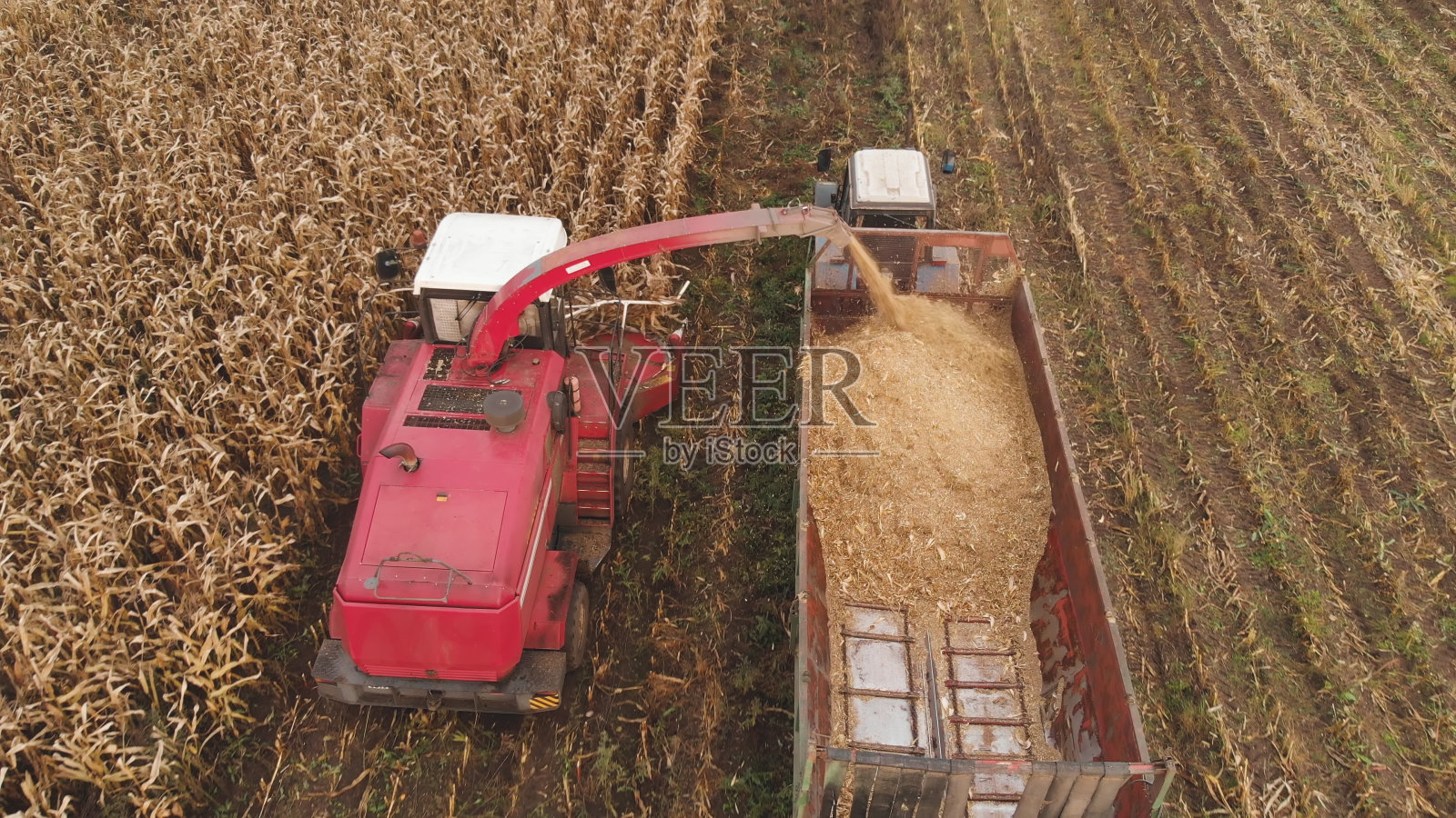农业机械在玉米收获中的融合照片摄影图片