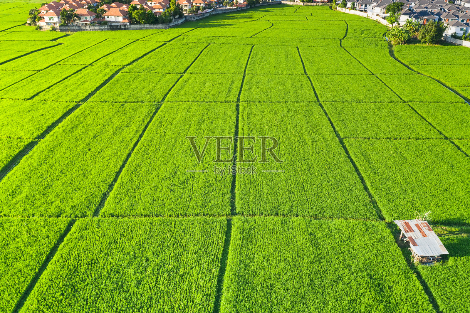 航拍地块和绿地。照片摄影图片