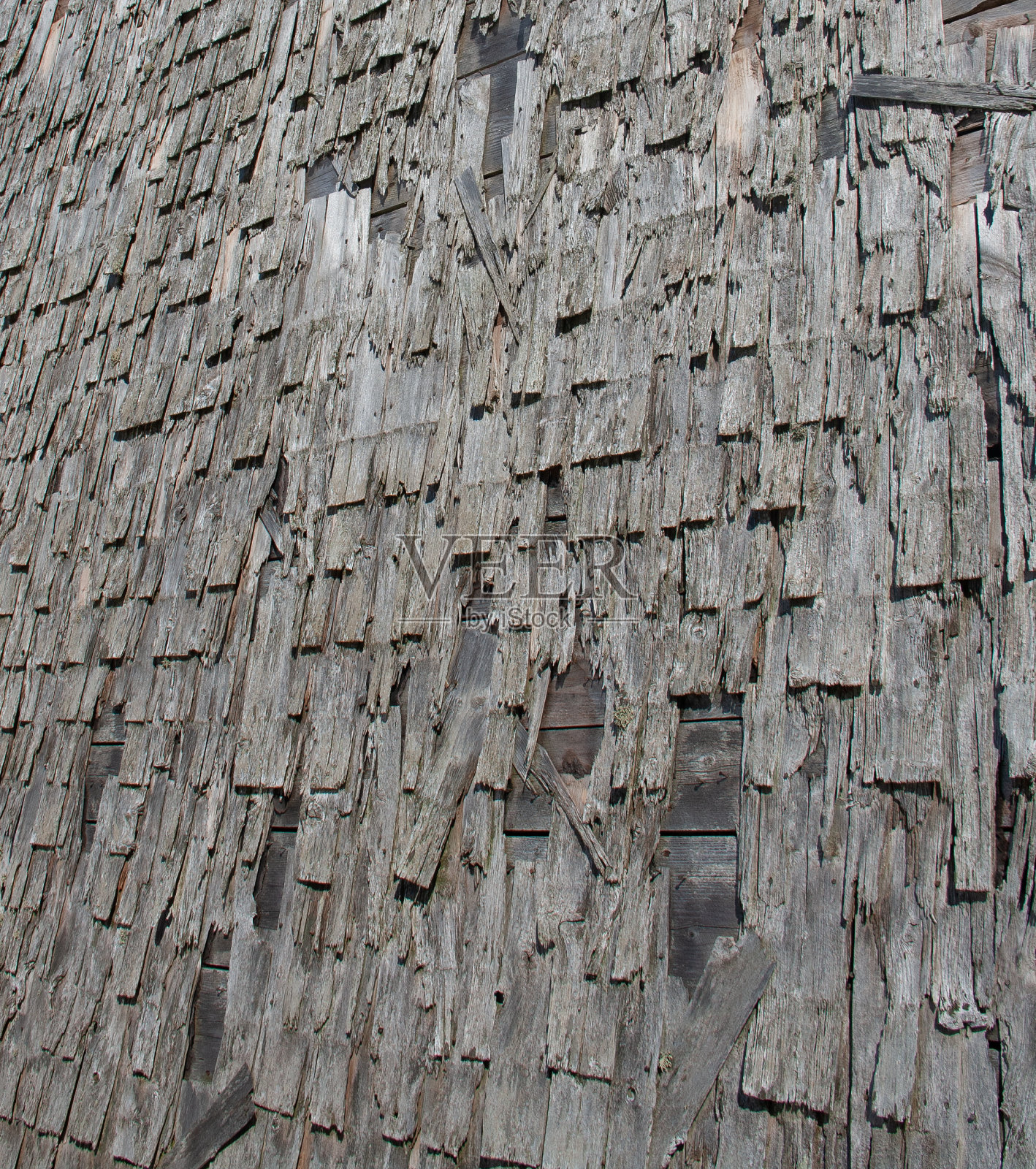 谷仓上的粗糙木瓦照片摄影图片