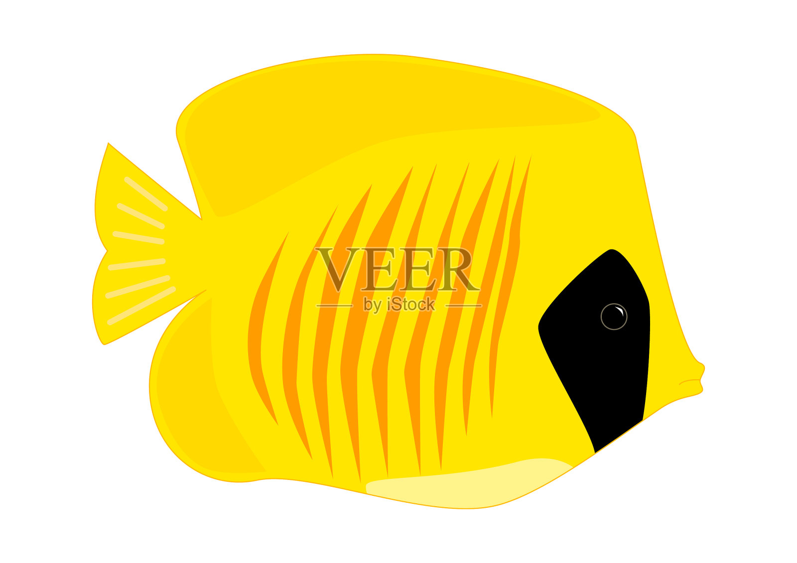 五彩斑斓的热带鱼隔离蝴蝶鱼插画图片素材