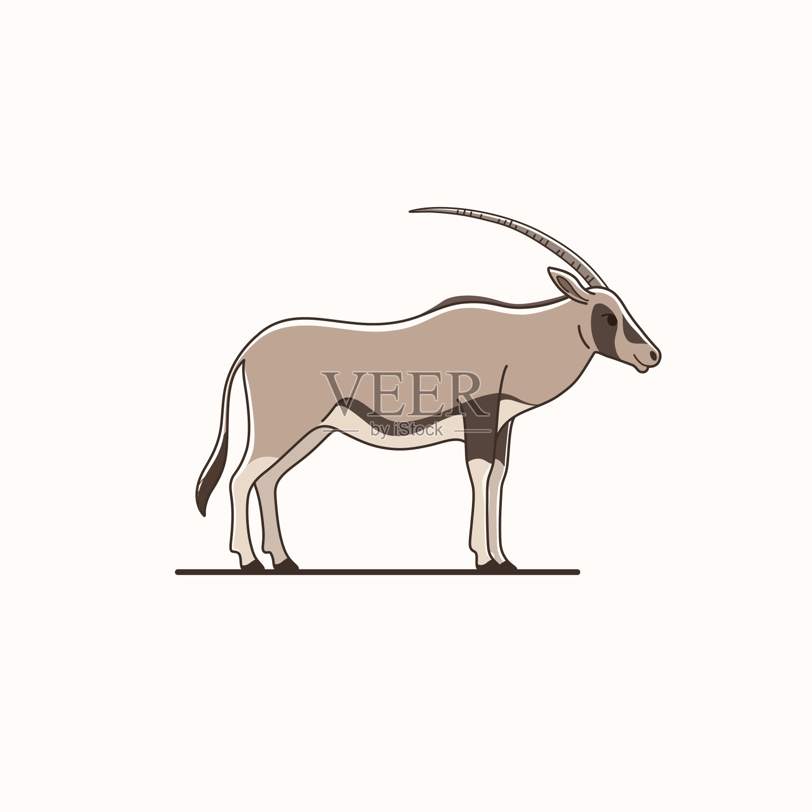 动物插画图片素材