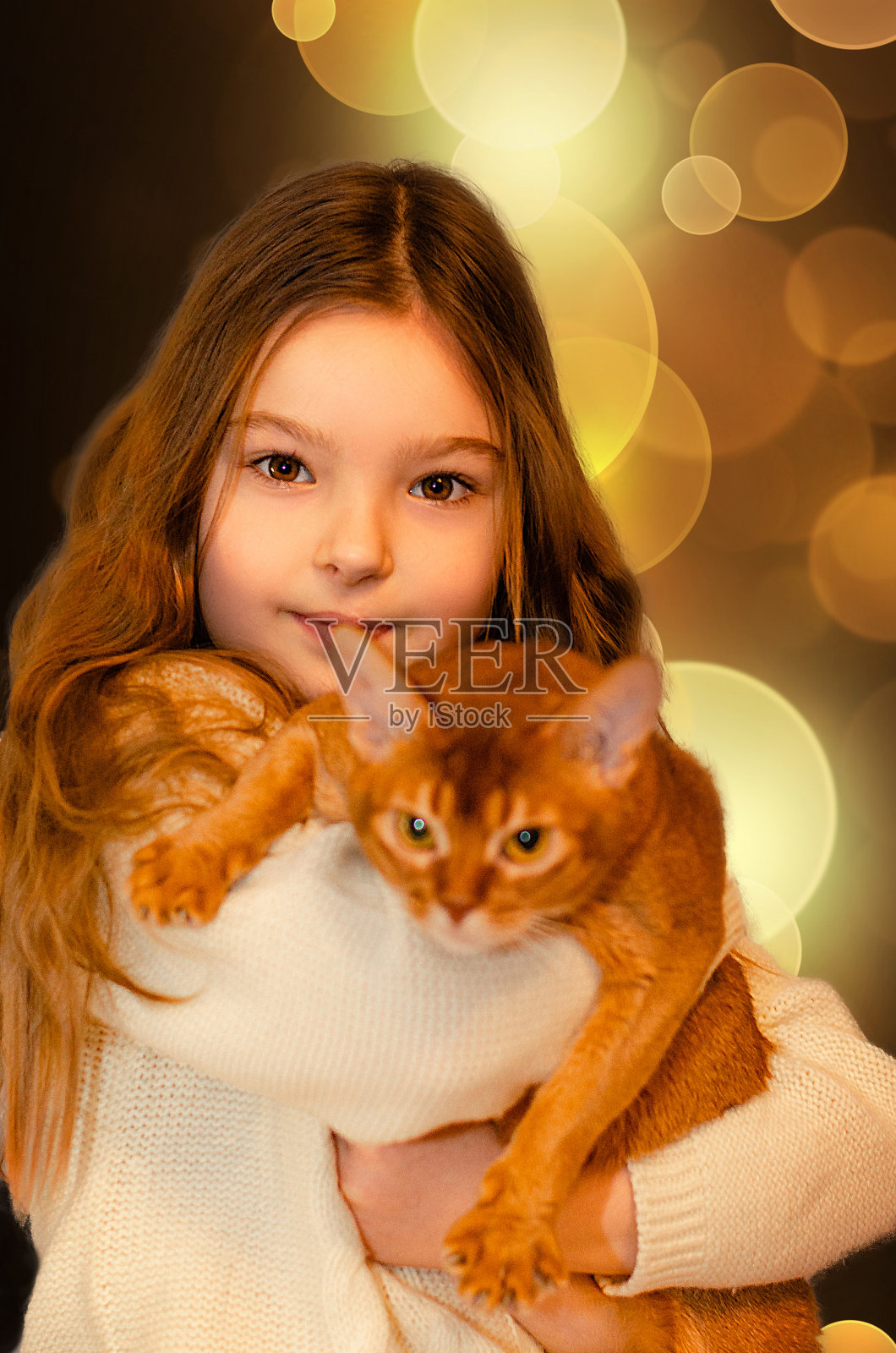 一个7岁的金发女孩在家里的沙发上和一只猫玩。宠物和儿童的概念。红猫繁殖阿比西尼亚。照片摄影图片