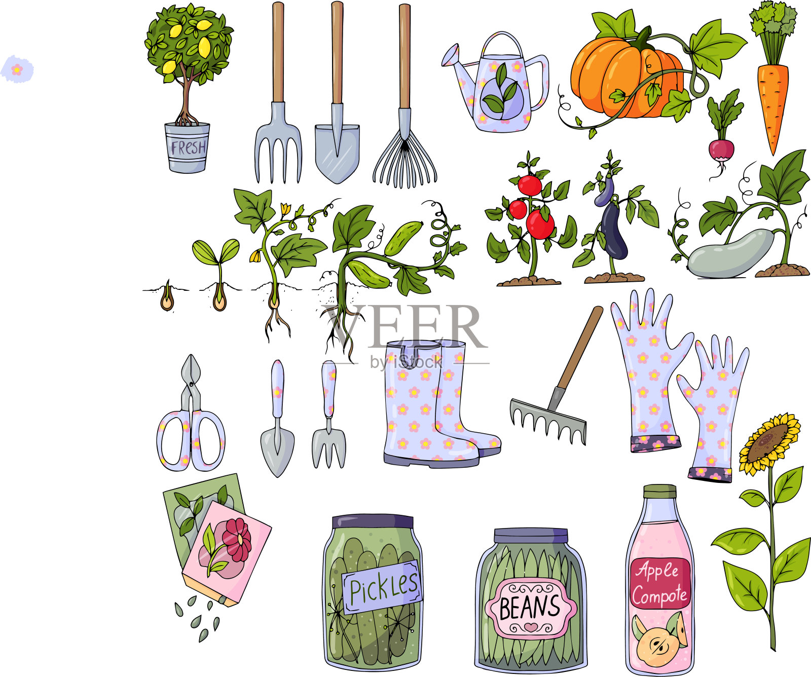 园艺工具与蔬菜，白色背景插画插画图片素材