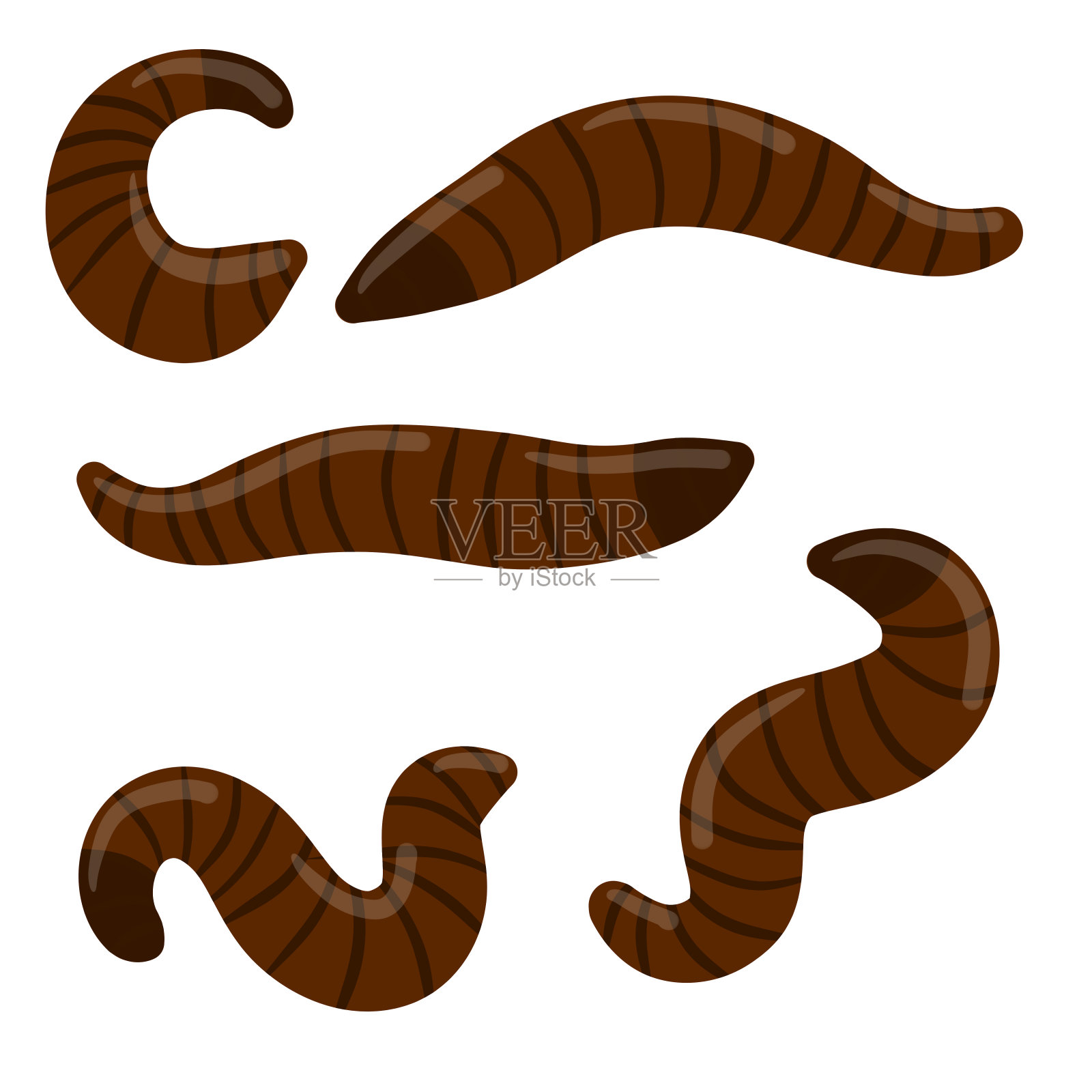 水蛭。一组吸血昆虫。红色危险的蠕虫。插画图片素材