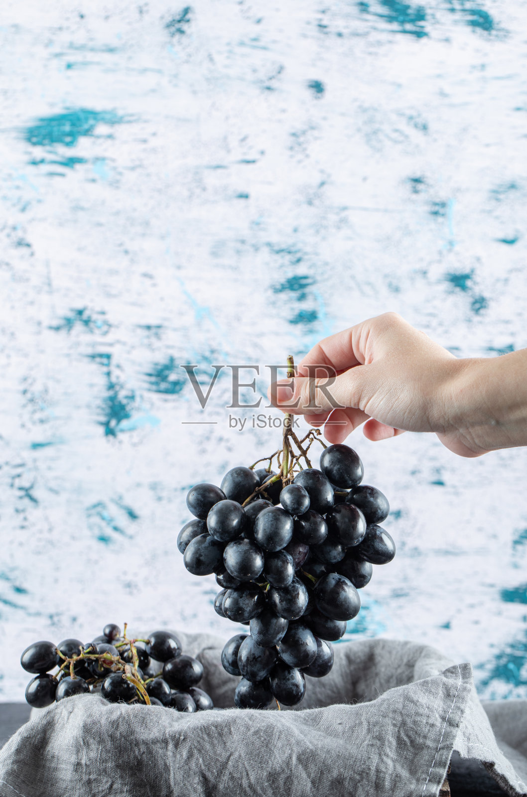 手握一串深色的新鲜葡萄在一个彩色的背景照片摄影图片