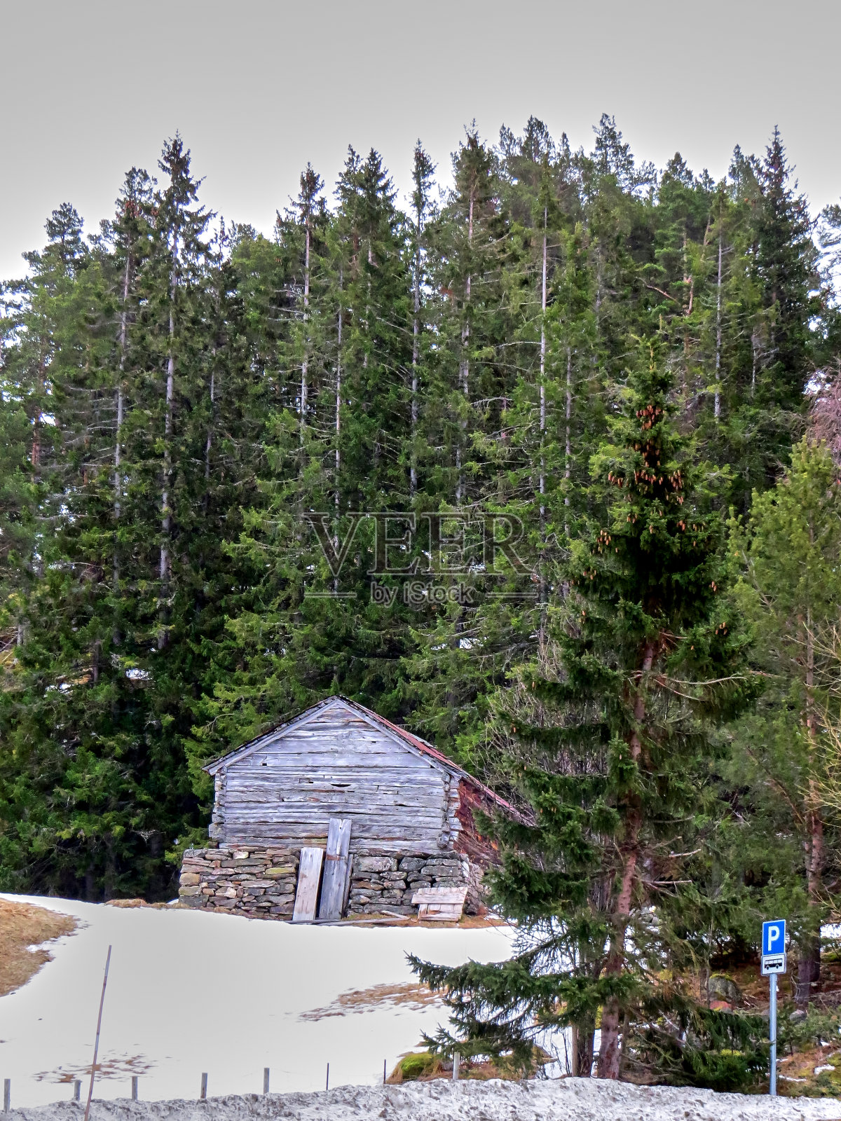 森林中的传统木屋照片摄影图片