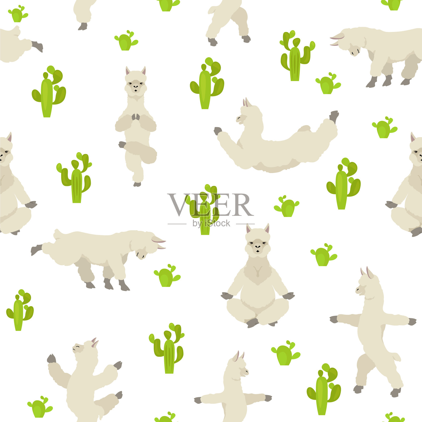 骆驼家族收集羊驼瑜伽图形插画图片素材