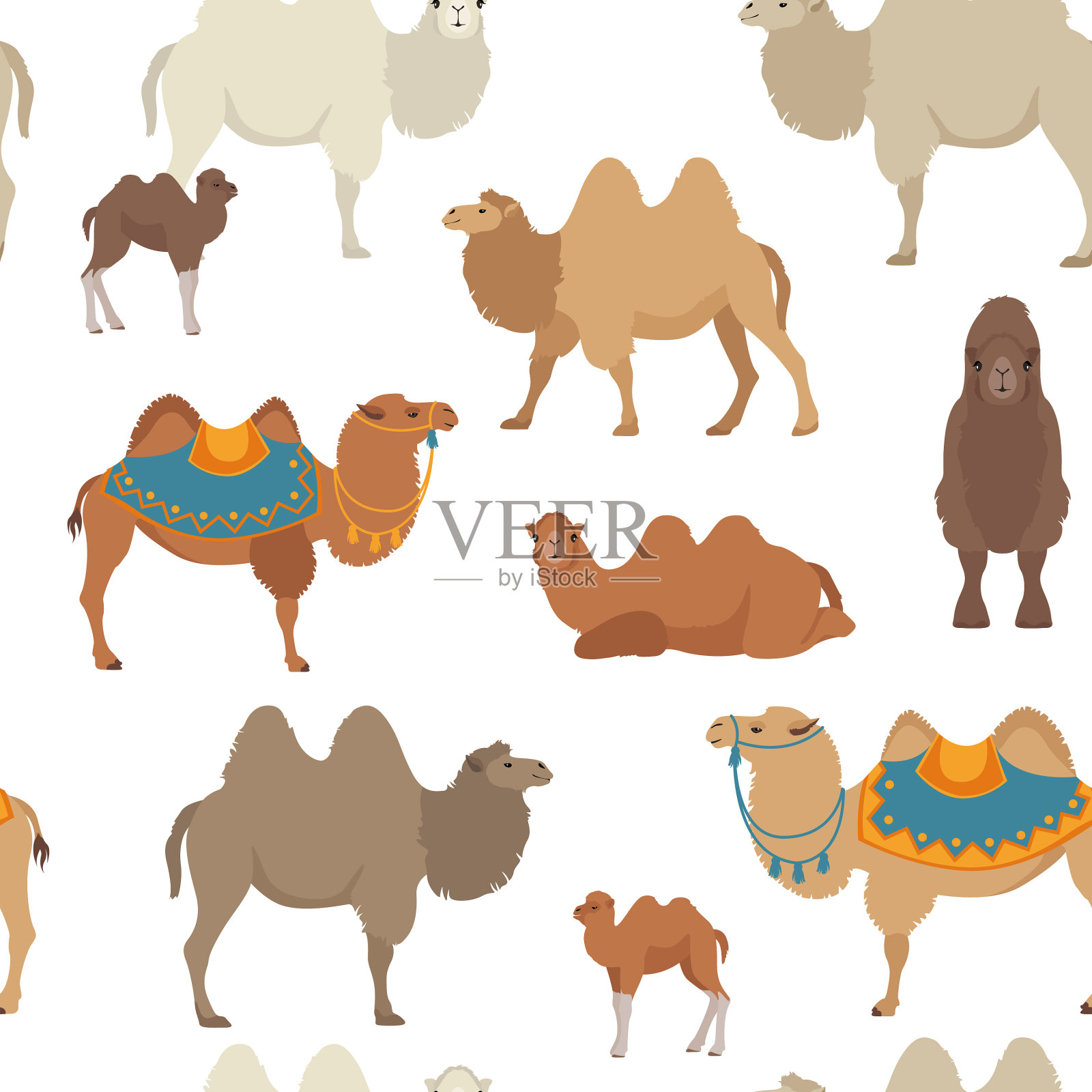 骆驼家族收藏双峰驼插画图片素材
