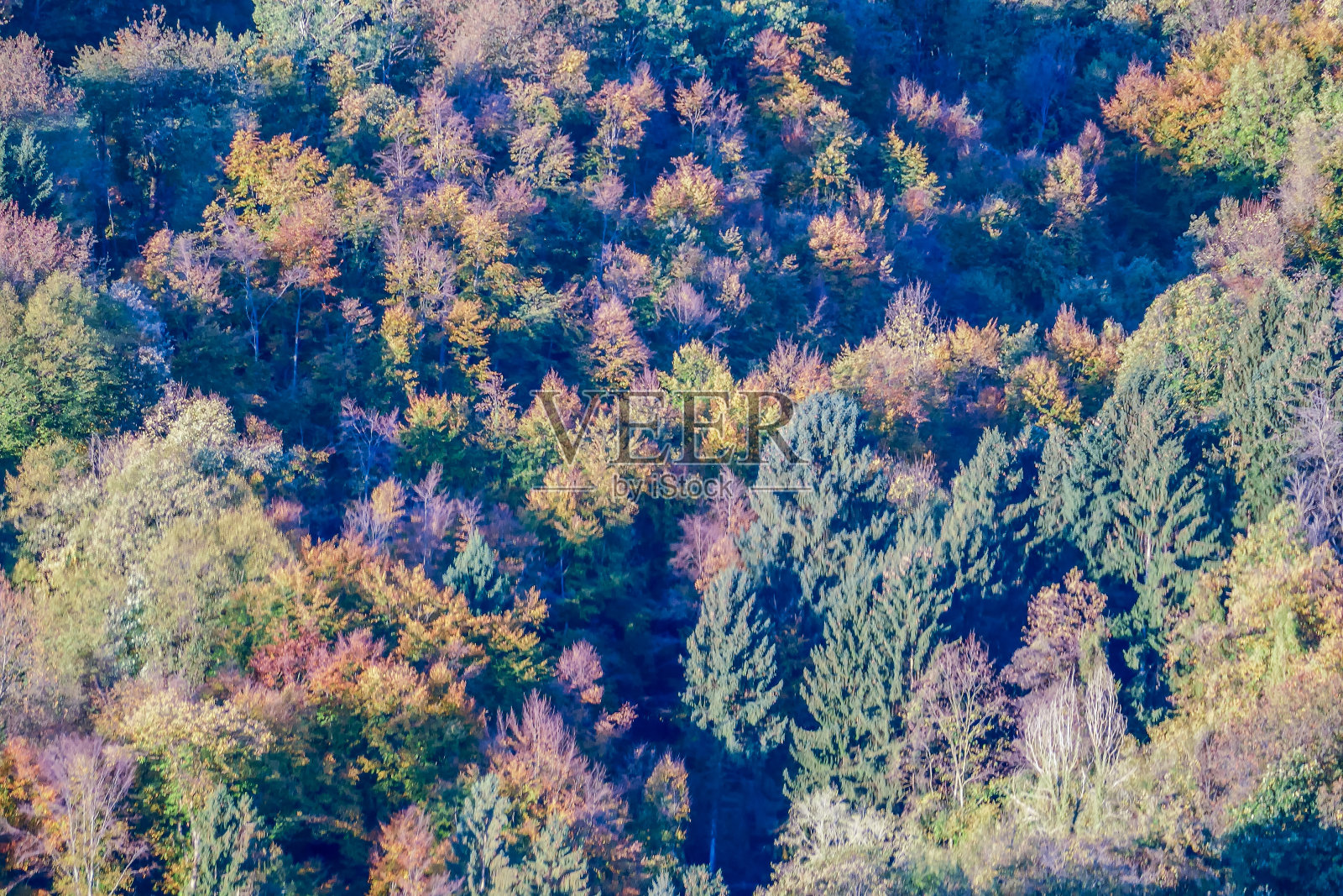 欧洲自然乡村照片摄影图片